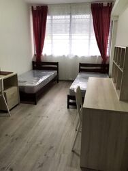 Blk 141 Petir Road (Bukit Panjang), HDB 4 Rooms #463173161